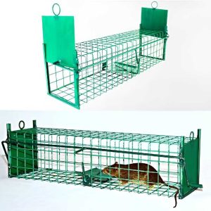 Élvefogó Patkánycsapda, Kétajtós, Zöld, 50 cm – Humánus Rágcsálómentesítés