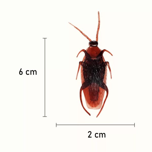 Mű csótányok 8db - Image 3