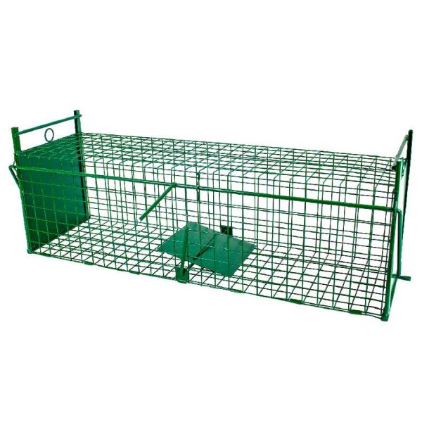 Élvefogó Patkánycsapda, Kétajtós, Zöld, 50 cm – Humánus Rágcsálómentesítés - Image 3