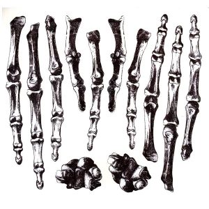 Csontváz tetoválás, lemosható