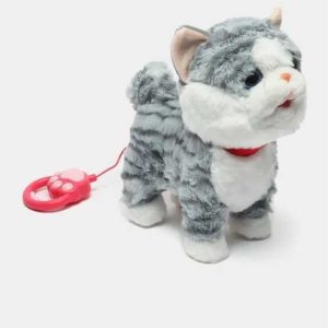 Pórázon sétáló kiscica , sétálás közbe kinyújtja a nyelvét , többféle színben