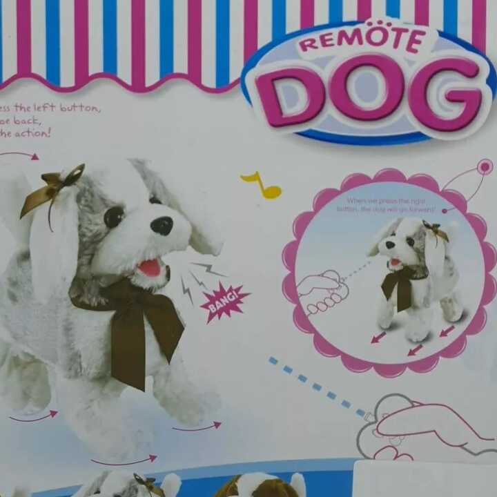 Interaktív plüss robot kutya , csontformájú távirányítóval - Image 2
