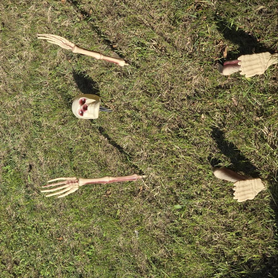 Leszúrható csontváz dekoráció szett halloweenra, 5 db-os - Image 2