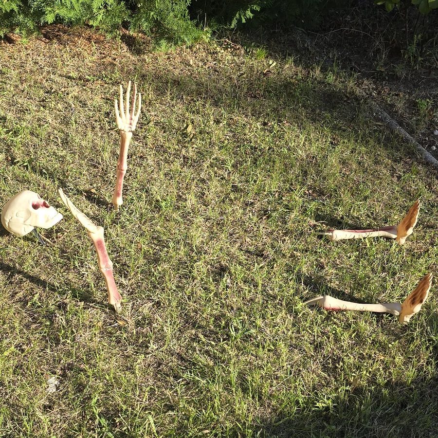 Leszúrható csontváz dekoráció szett halloweenra, 5 db-os - Image 3