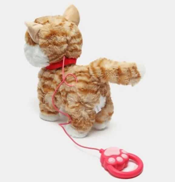 Pórázon sétáló kiscica , sétálás közbe kinyújtja a nyelvét , többféle színben - Image 5