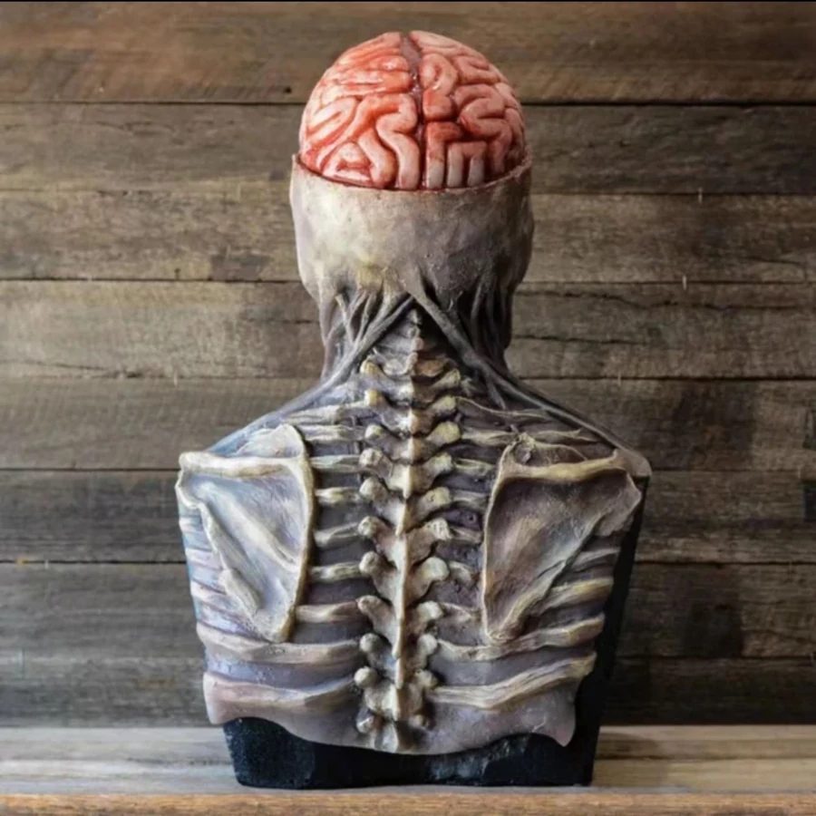 Rémisztő Halloween maszk, csontváz fej - Image 4