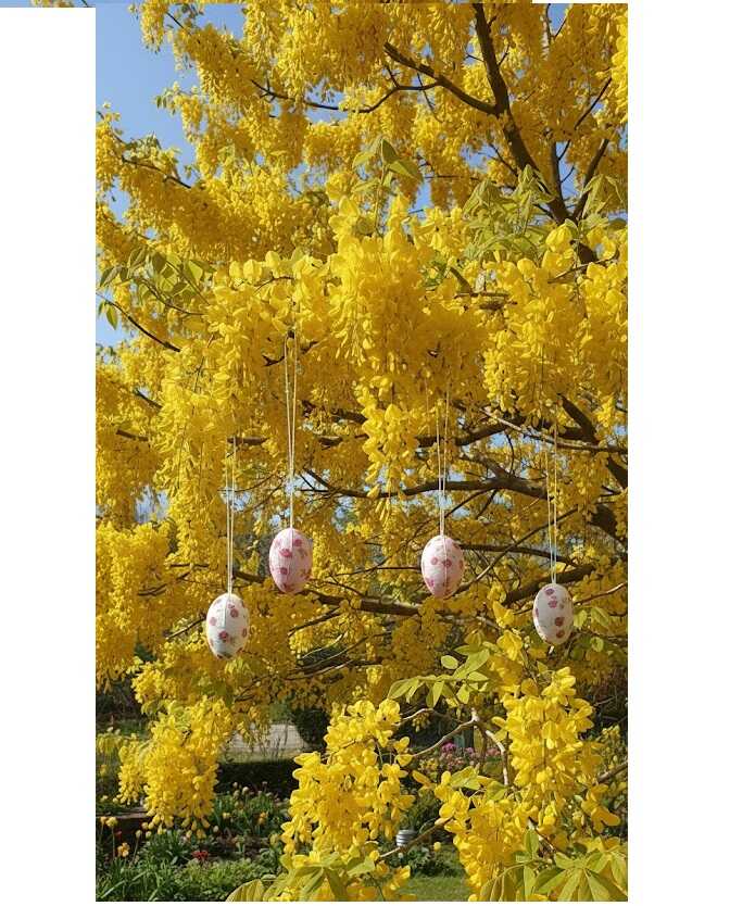 Húsvéti textilbevonatú dekorációs tojás szett rózsamintával 4x6 cm 6 db/csomag KTM - Image 2